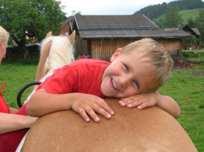 Scheickgut, Flachau, Österreich